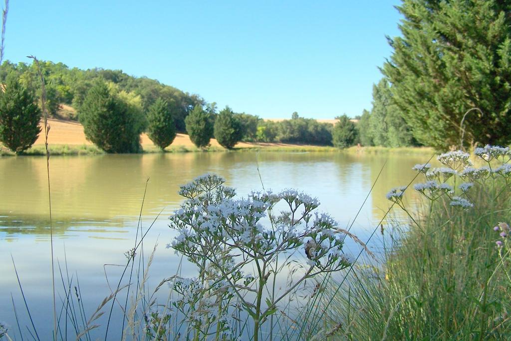 Chambre D'Hotes Le Moulin D'Encor Seysses-Saves Εξωτερικό φωτογραφία